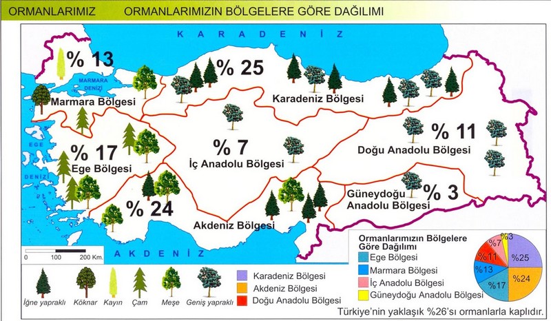 Türkiye’de Ormanların Coğrafi Bölgelere Göre Dağılımı
