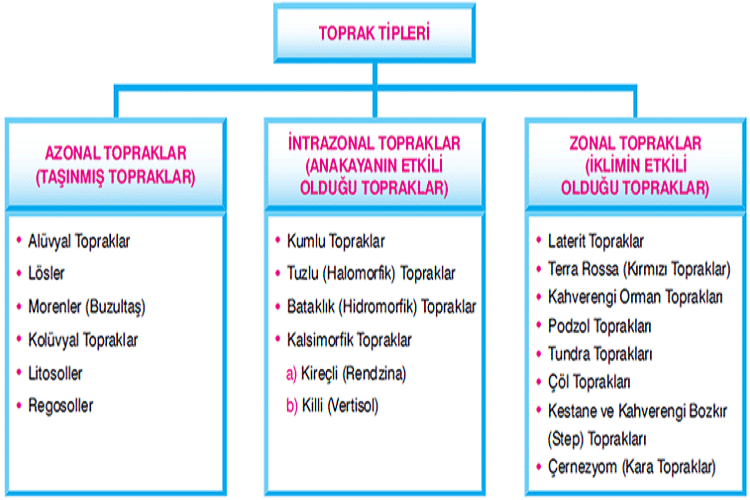 Türkiye'de Toprak Tipleri ve Kullanımı